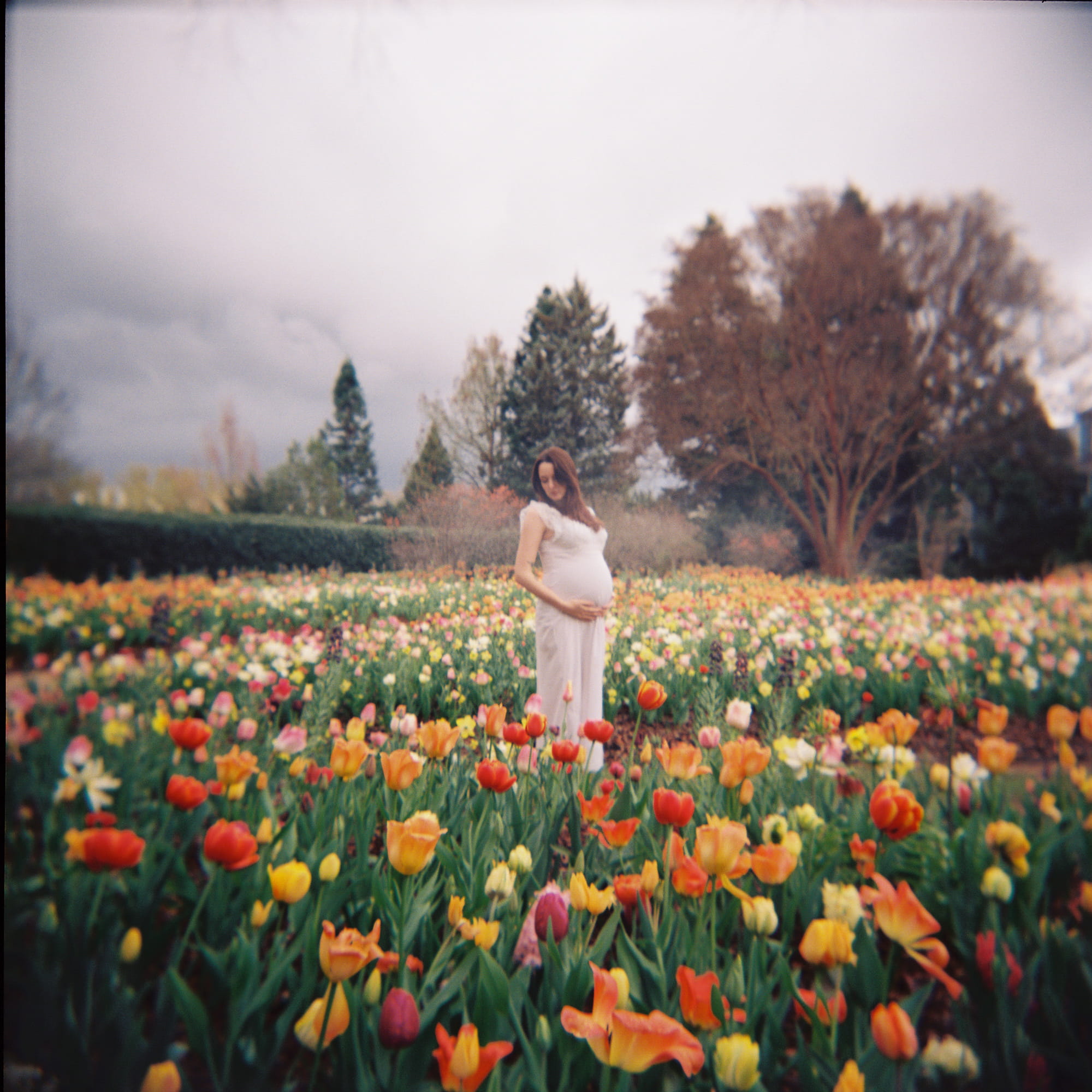 Expectant mother in a white gown standing in a vibrant tulip field
